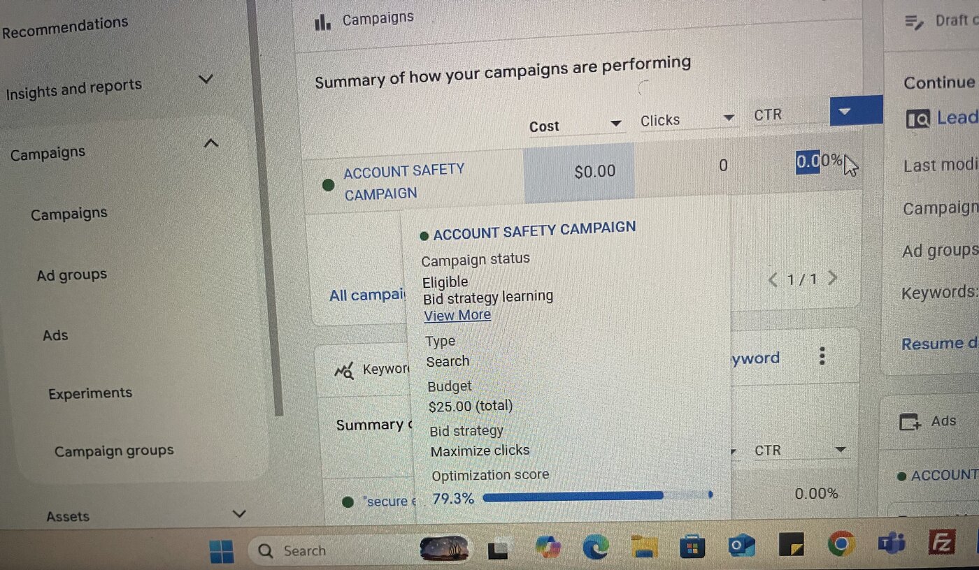 Google Ads campaign detail card showing a search campaign on a $25 total budget with maximize-clicks bidding and a 79.3 percent optimization score